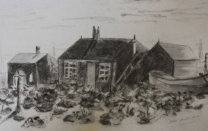 Romney Marsh 
